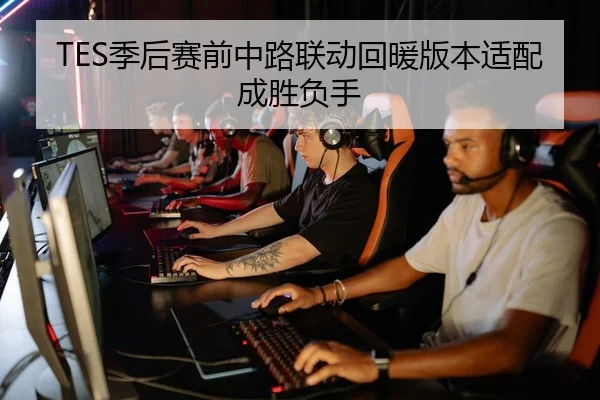 TES季后赛前中路联动回暖版本适配成胜负手